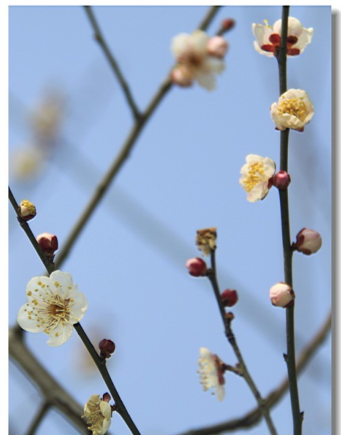 未命名-7.jpg