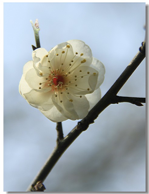 未命名-9.jpg