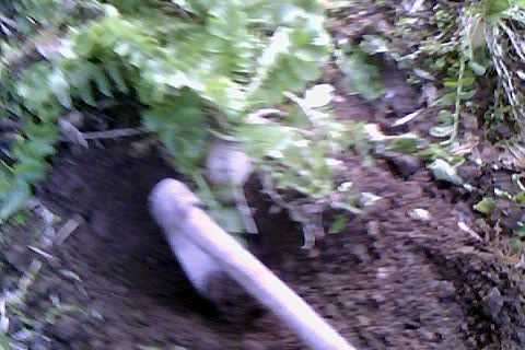 IMG0008A.jpg