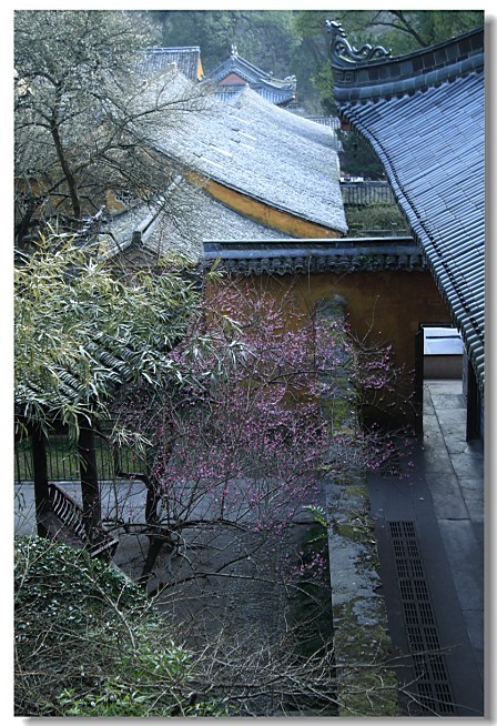 未命名-4.jpg