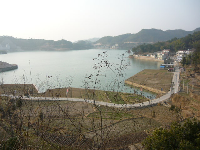P1050390.JPG