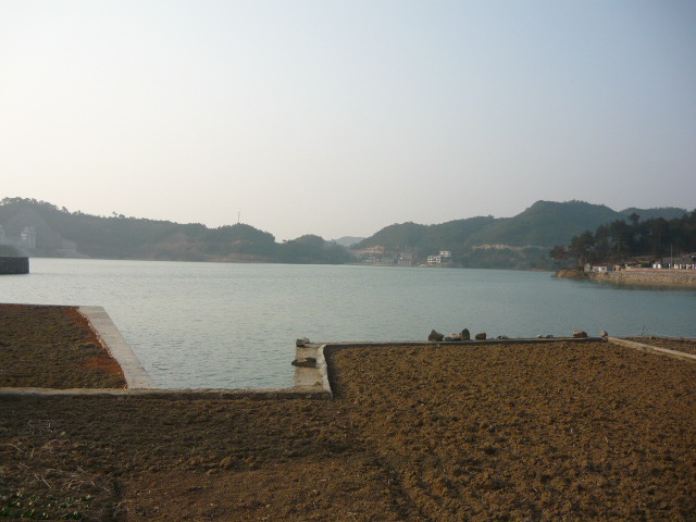 P1050392.JPG