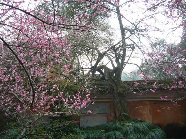 P1050531.JPG