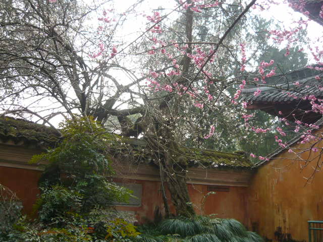 P1050534.JPG