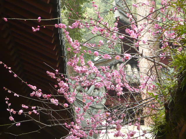 P1050554.JPG