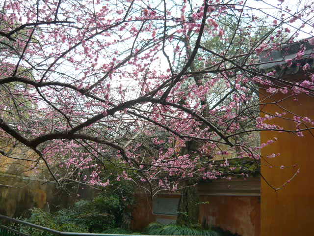 P1050546.JPG