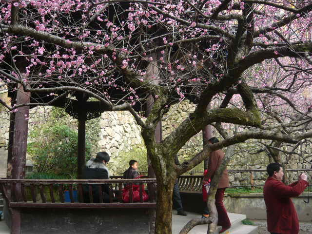 P1050545.JPG