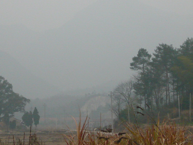 P1050460.JPG