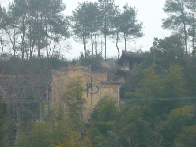 P1050463.JPG
