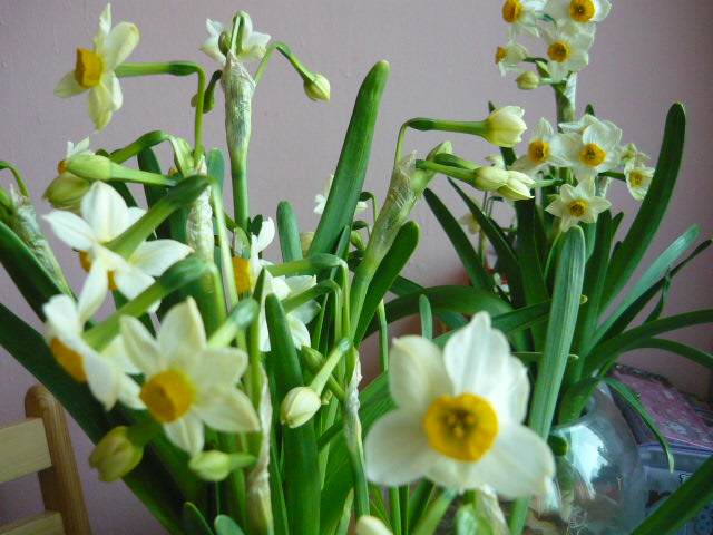 P1050591.JPG