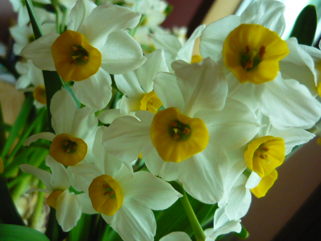 P1050604.JPG