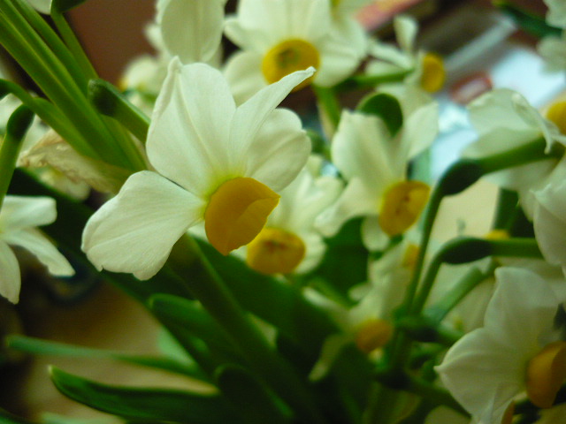 P1050606.JPG