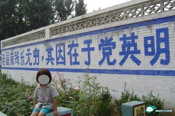 我们的孩子从小就在这种氛围中长大