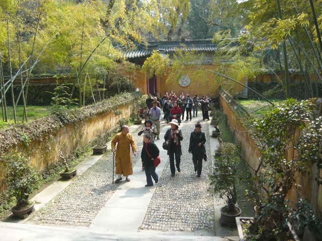 P1050640.JPG