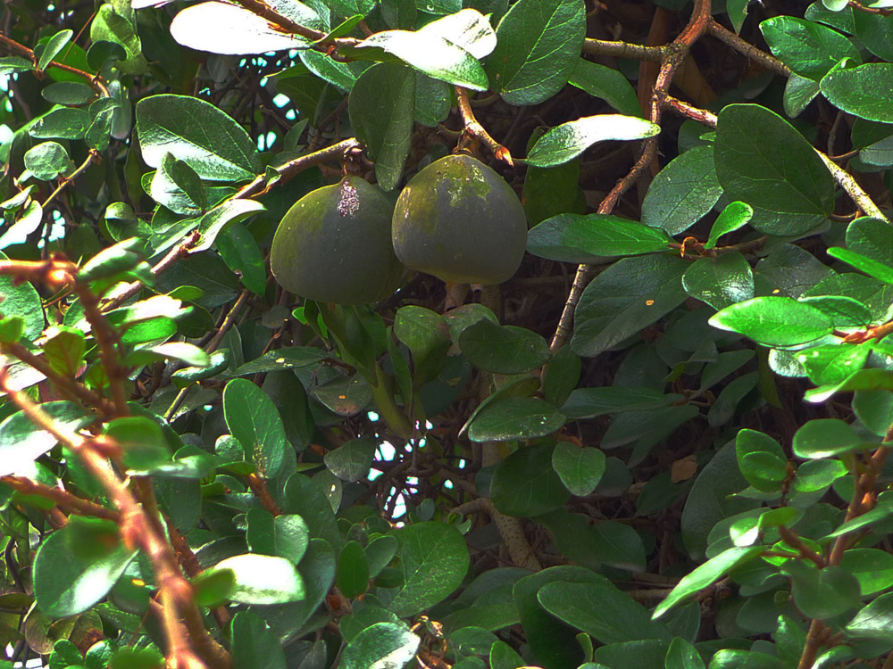 P1010256.JPG