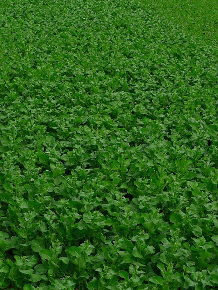 P1010262.JPG