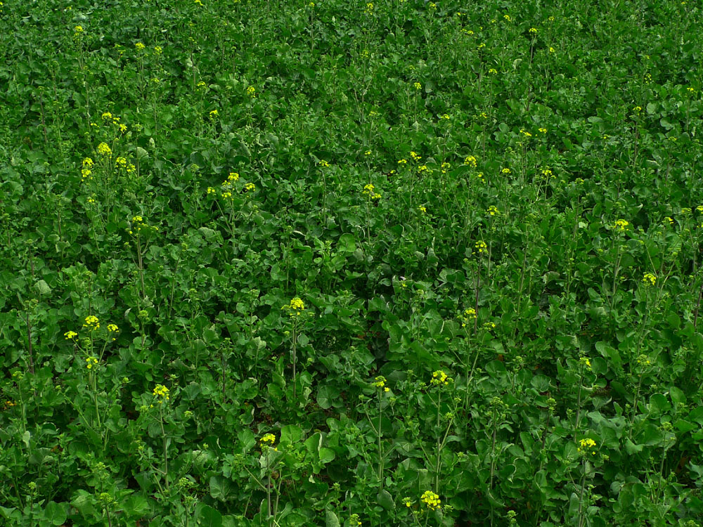 P1010283.JPG