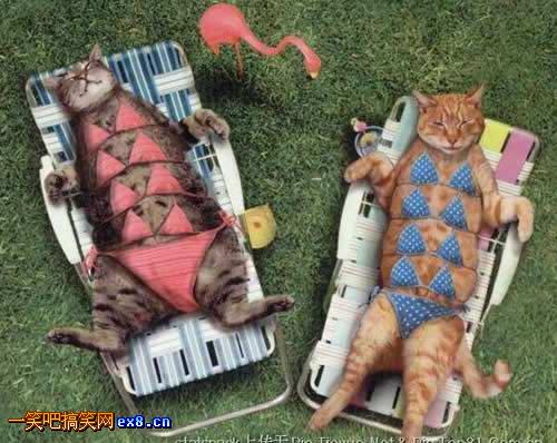  穿比基尼真麻烦