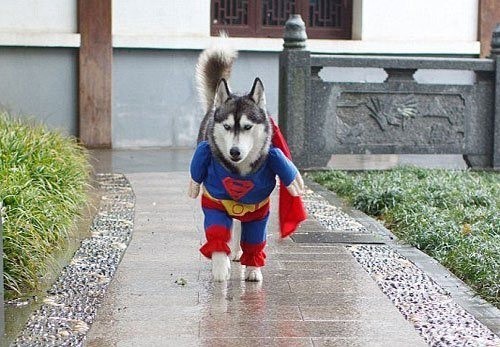 人类已经不能阻止我了