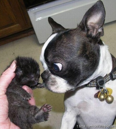 这个是我儿子吗？