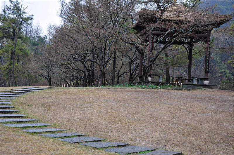 DSC_0125_副本.jpg