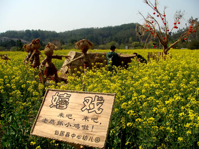 复件 DSC00535.JPG