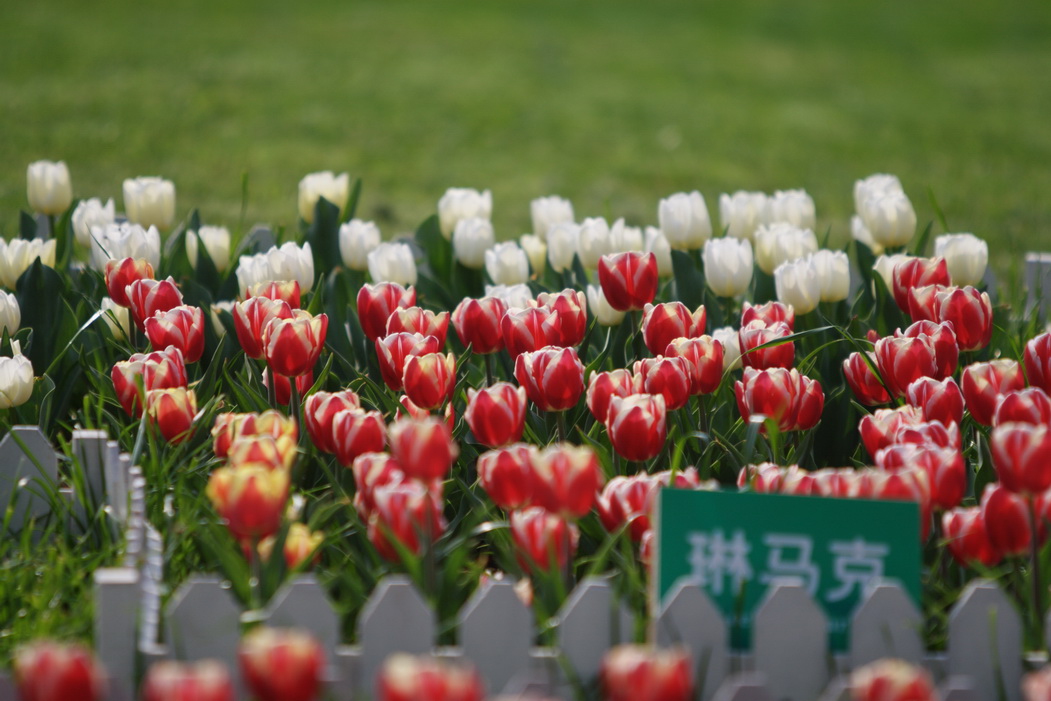 IMG_1339_调整大小.jpg