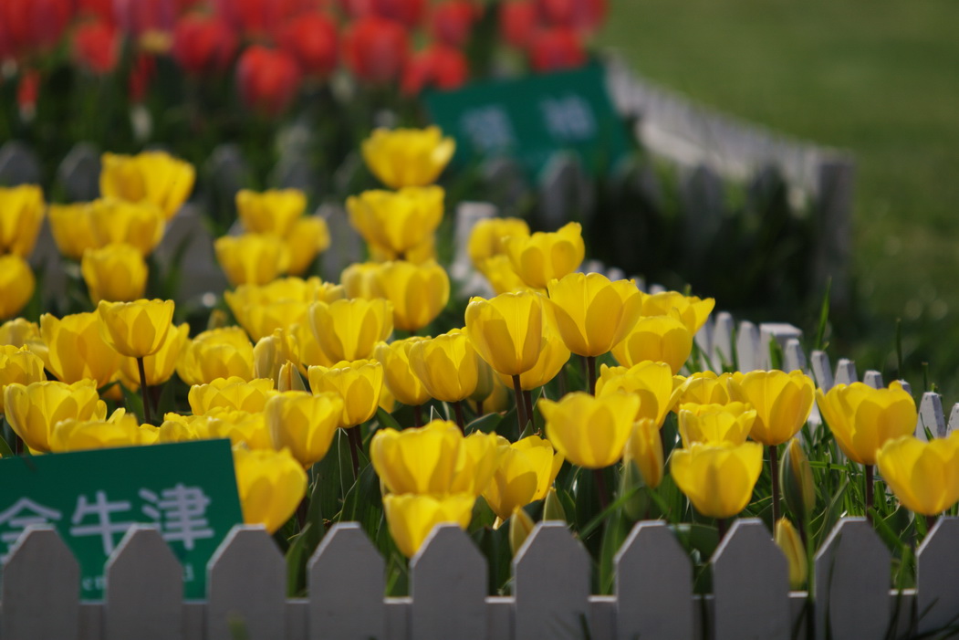 IMG_1349_调整大小.jpg