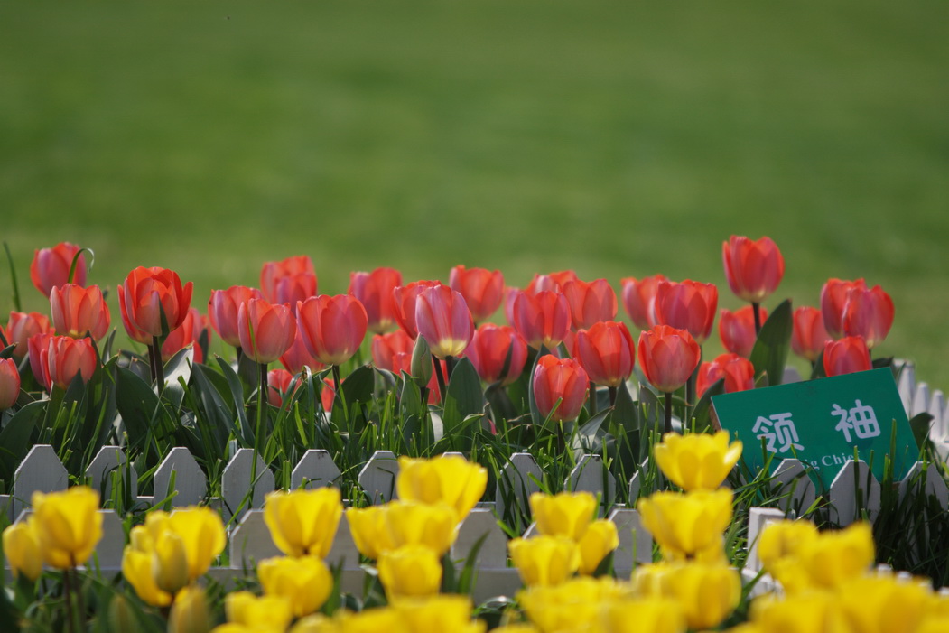 IMG_1350_调整大小.jpg
