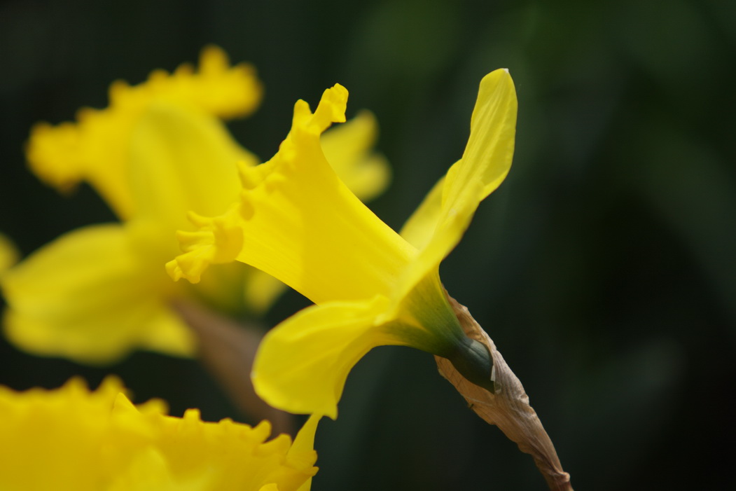 IMG_1397_调整大小.jpg