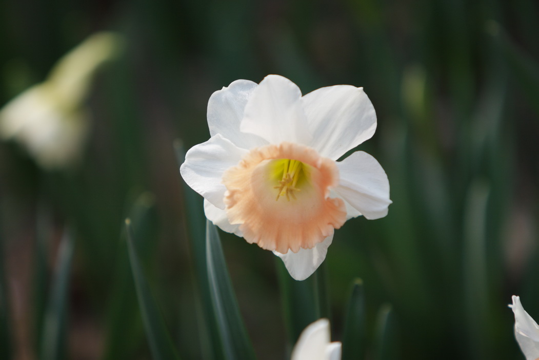 IMG_1401_调整大小.jpg