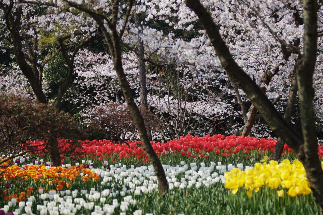 IMG_1421_调整大小.jpg
