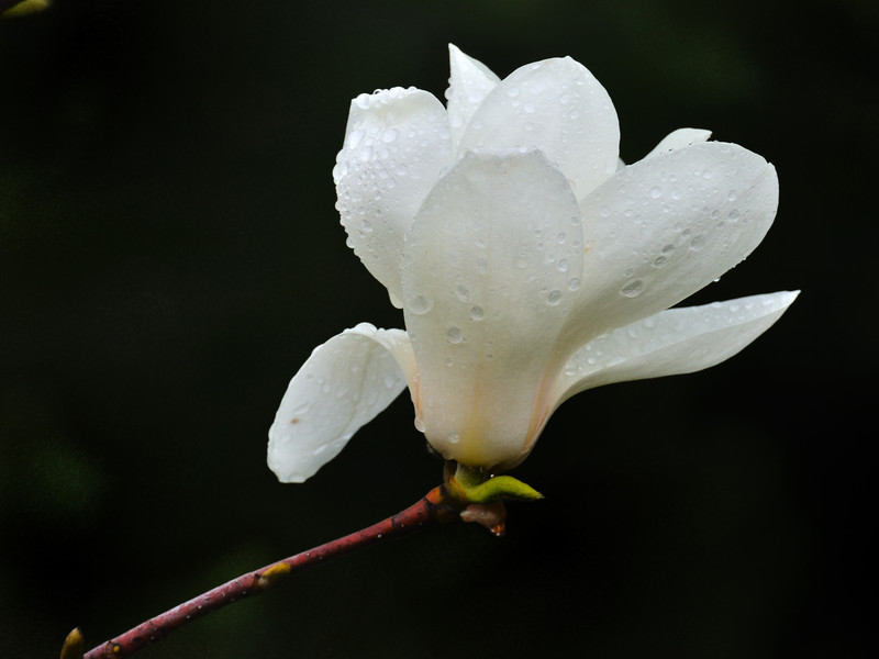 a9098645_s.jpg