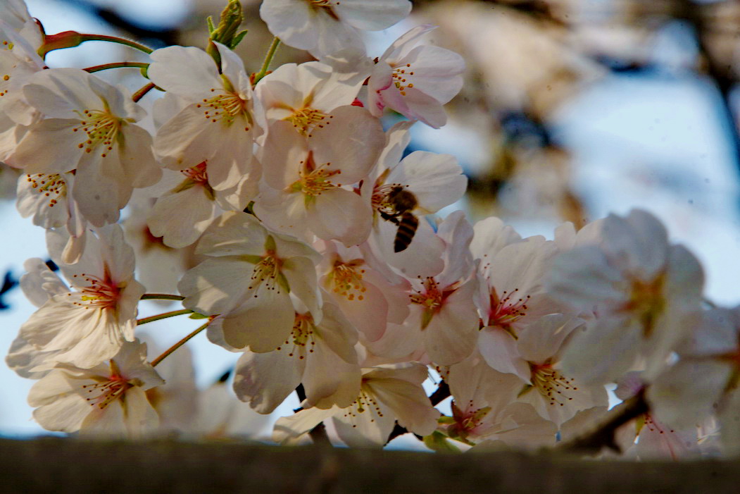 IMG_1310_调整大小.jpg