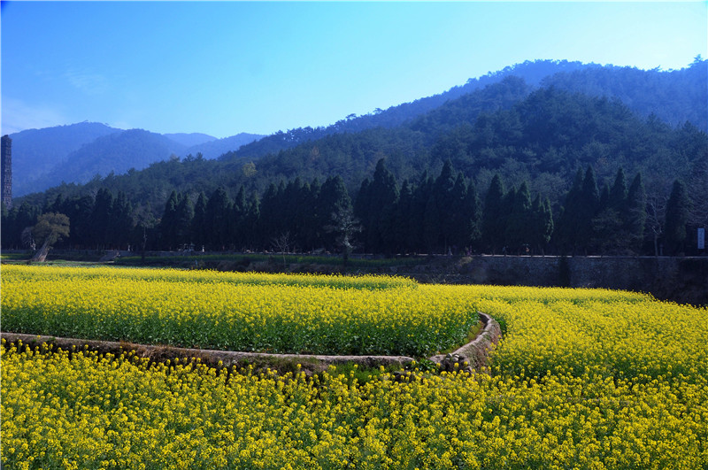 DSC_0060_副本.jpg