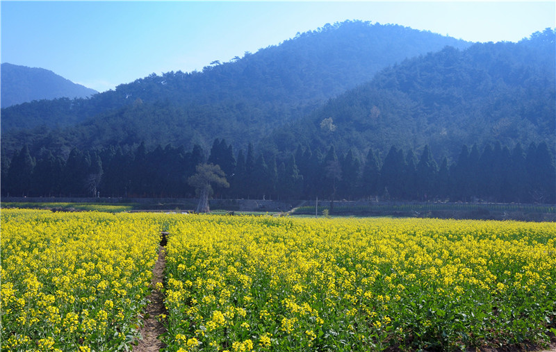 DSC_0064_副本.jpg