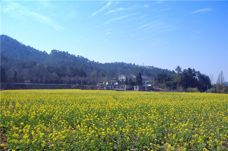 DSC_0075_副本.jpg