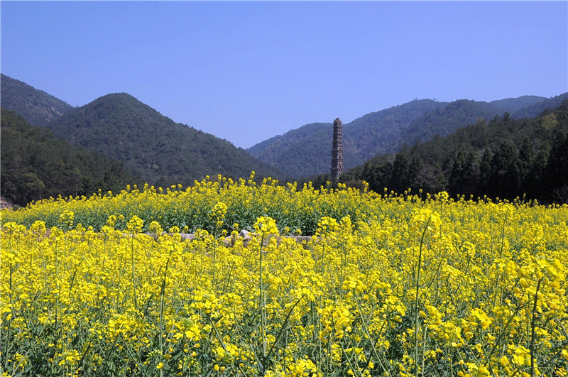DSC_0151_副本.jpg