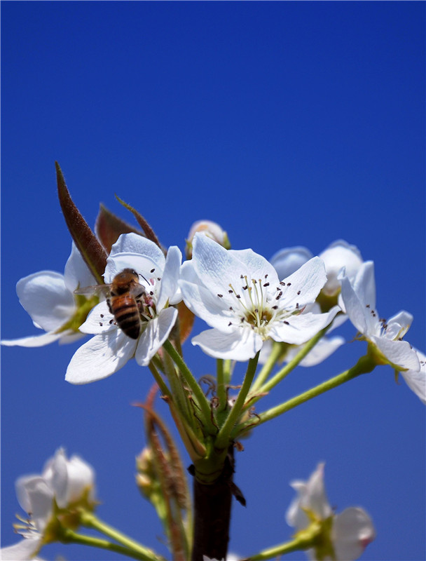 DSC_0081_副本.jpg