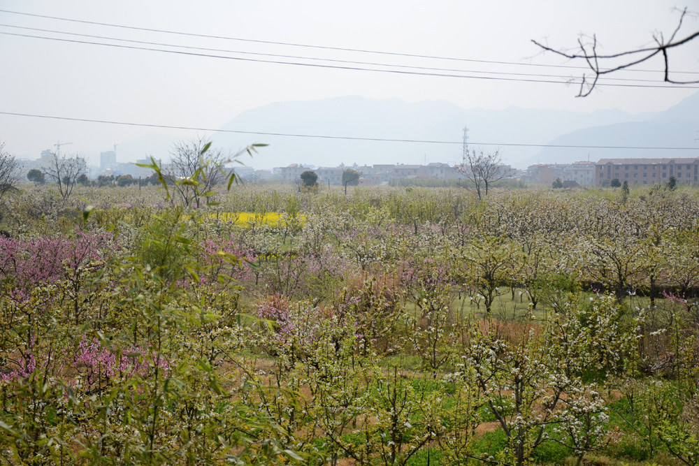 DSC_0021.jpg