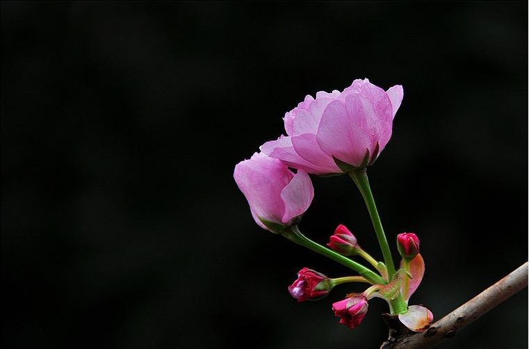 a9312841_s.jpg