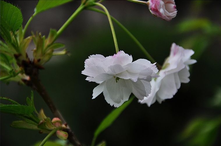 a9312875_s.jpg
