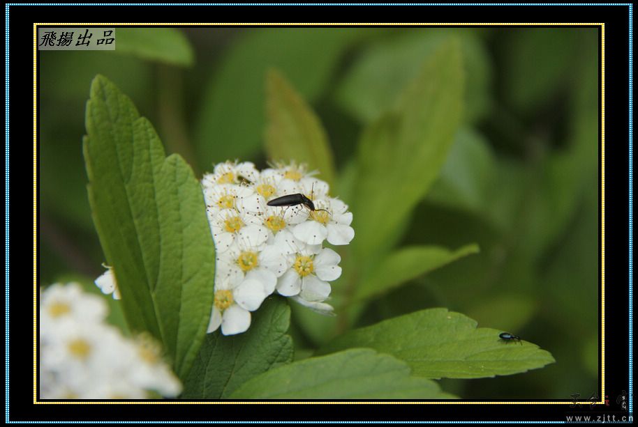 IMG_3679.jpg