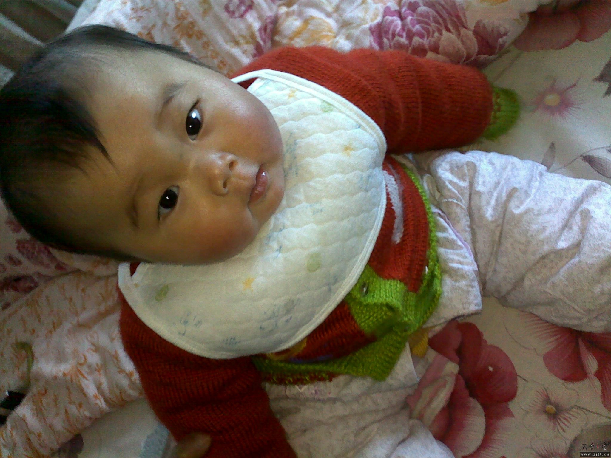 20110405916.jpg