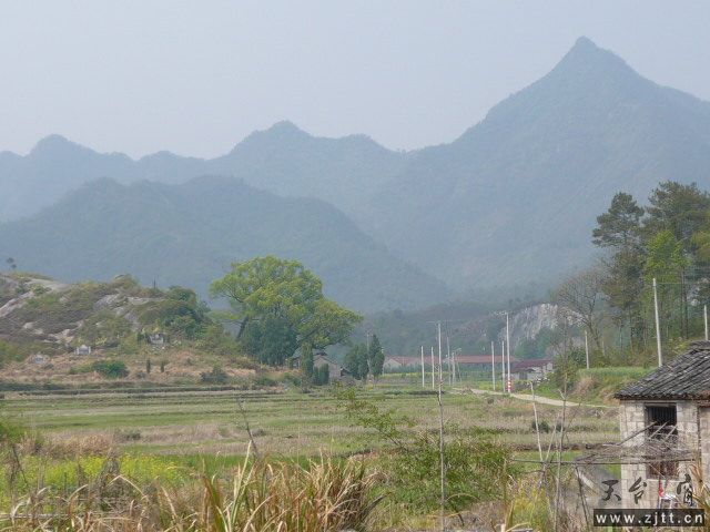 P1050957.JPG