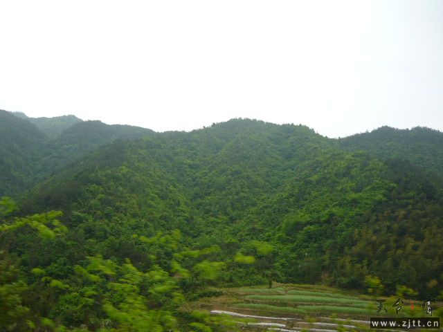 P1060093.JPG