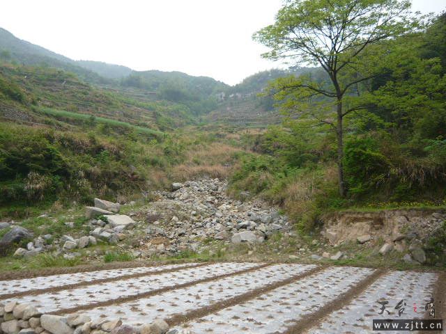 P1060097.JPG