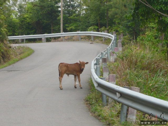 P1060098.JPG
