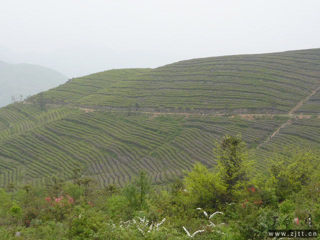 P1060178.JPG