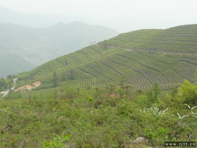 P1060180.JPG